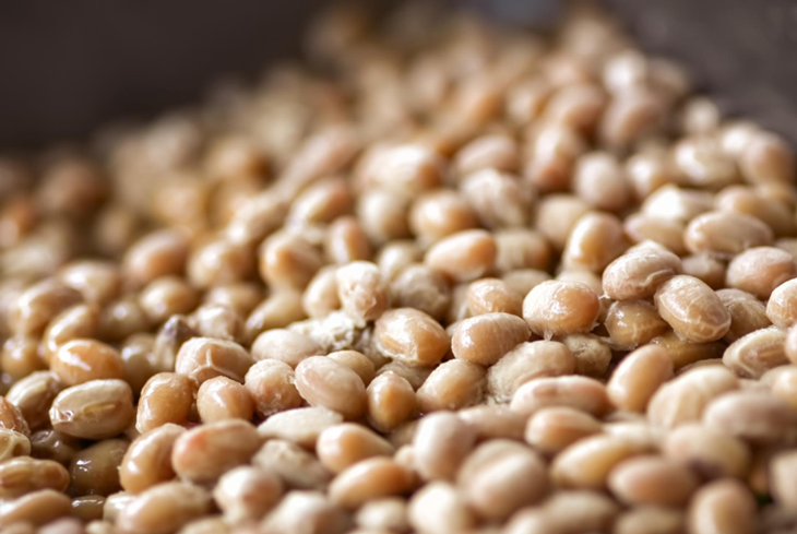 ナットウキナーゼとは何?納豆菌との違いや主な作用などを解説