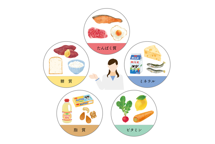 5大栄養素の役割