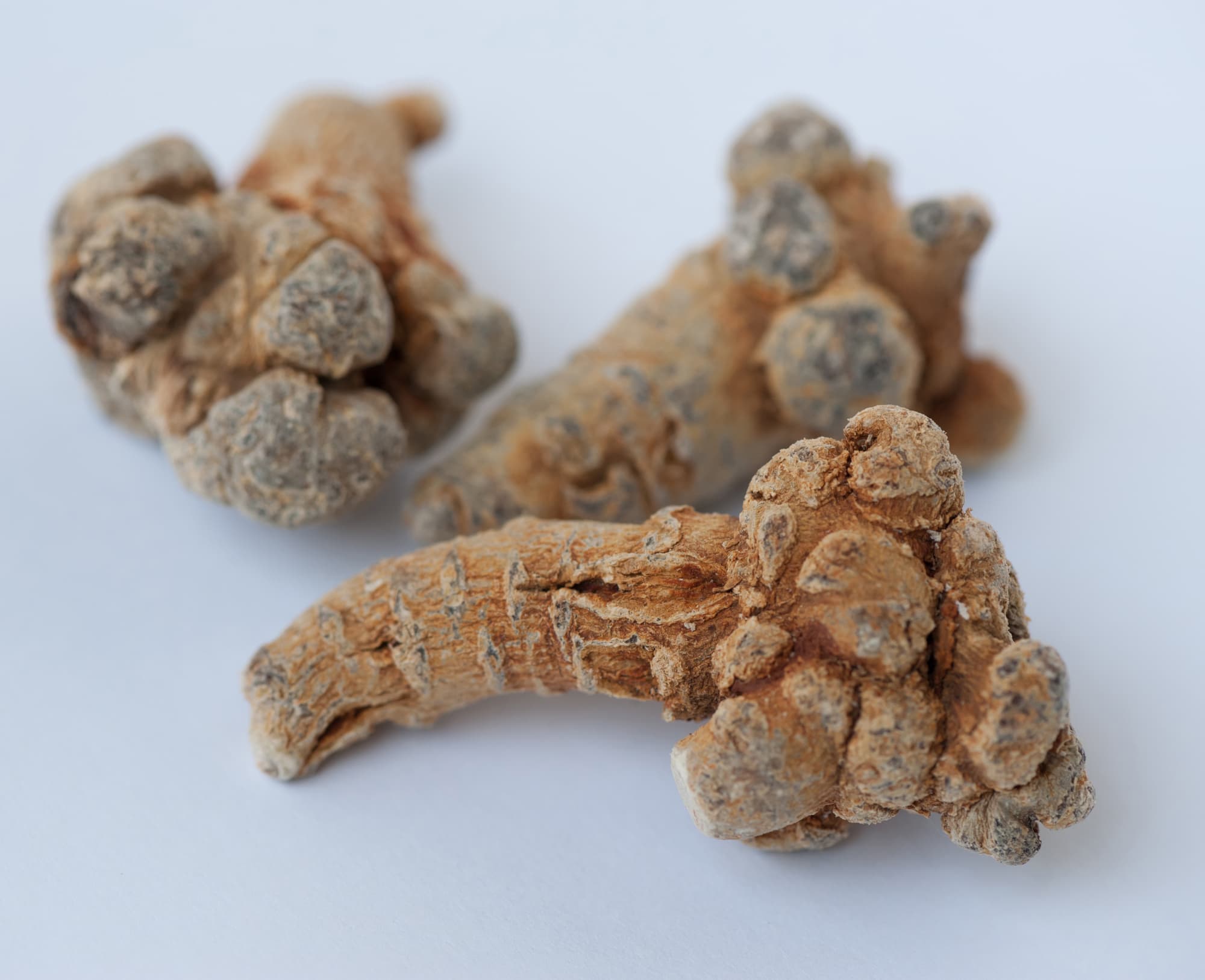 田七人参（三七人参）とは？高麗人参との違いや健康効果などを解説